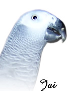 Jai