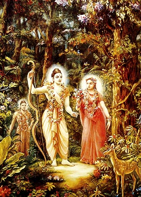 Sita-Rama-forest